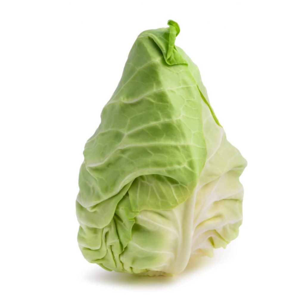 hispi-sweetheart-cabbage-the-grow-box